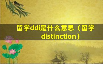 留学ddi是什么意思（留学 distinction）